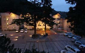 Hotel Arif Castle, Nainital